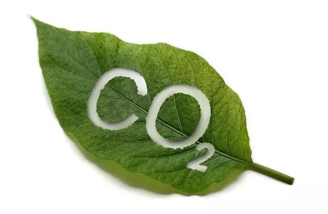 什么是碳排放管理员？