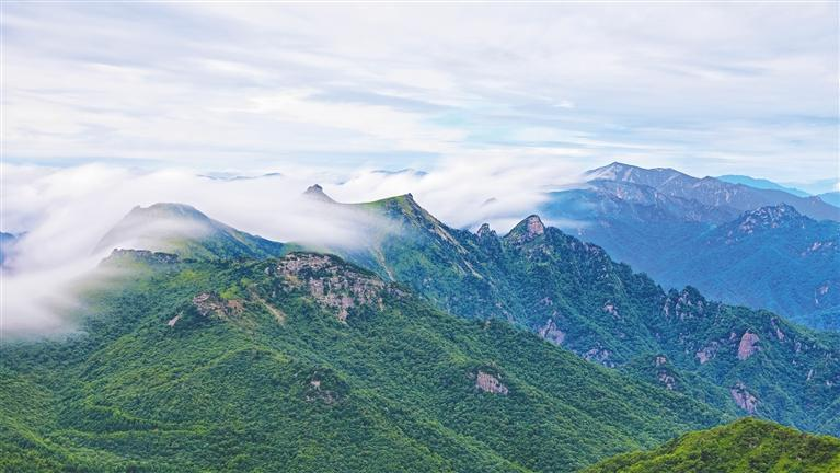 陕西发展含“绿”量大幅提升